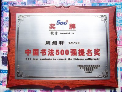 中国书法500强提名奖