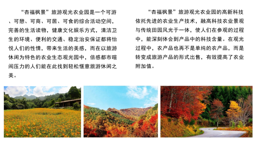 锦巨养生中心_6.png