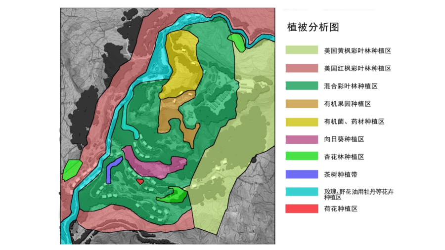 锦巨养生中心_10.png