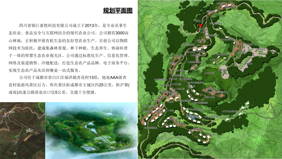 锦巨养生中心_7.png